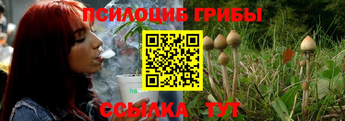 Псилоцибиновые грибы мицелий Калининград